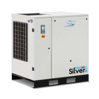 Fiac NUOVO New Silver NS da 4 a 11 HP - Compressore Industriale a Vite