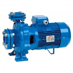 Speroni CS 32 160 - Elettropompa Centrifuga Monoblocco