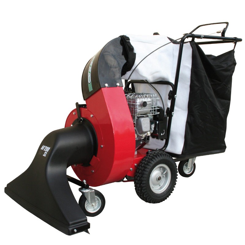 Benassi AF200 - Aspirafoglie a Benzina