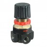 Abac 1127100064 Regolatore di Pressione per Compressori Aria