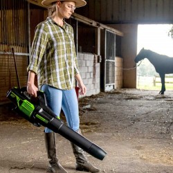 Greenworks GD60ABK4 Soffiatore a Batteria con Batteria 4 Ah + Caricatore inclusi