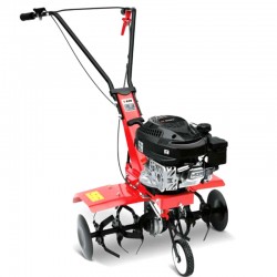 Rato Italian Power...