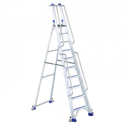 Svelt Regina 4WD VIP 10 SREGIVIPWD10 Scala 10 GradinI con Ruote e Corrimano EN131