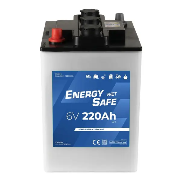 Accu Italia ES06220T 0365095 - Batteria al Piombo-Acido 6V 220 Ah per Veicoli Elettrici
