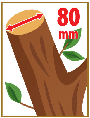 Attila ATS 900 DH - Broyeur de branches à essence avec moteur Honda 270 cm3