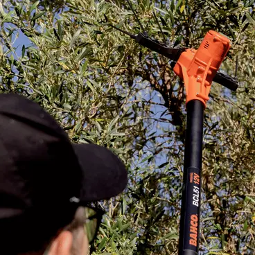 BAHCO BCL51 - Scuotiolive a Doppio Movimento 12 V
