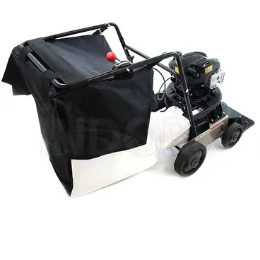 Benassi AF100 - Aspirafoglie con ruote a Spinta motore Briggs and Stratton