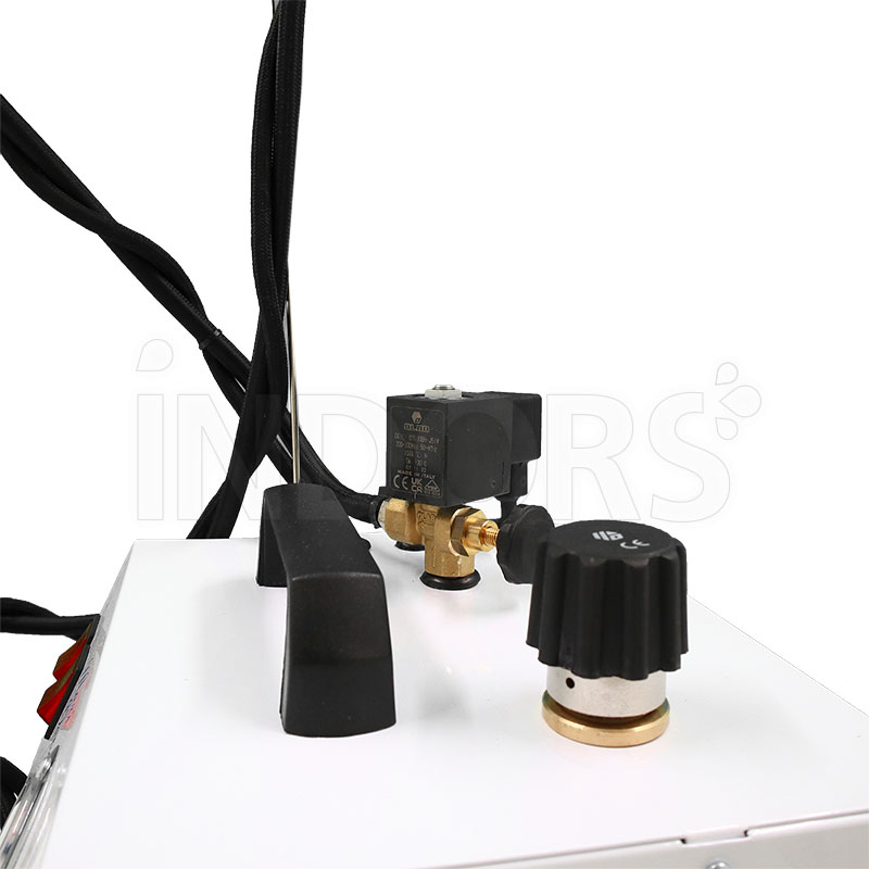 Bieffe Farinelli Maxi Vapor BF004CI - Générateur de vapeur pour repassage 3,5 bars