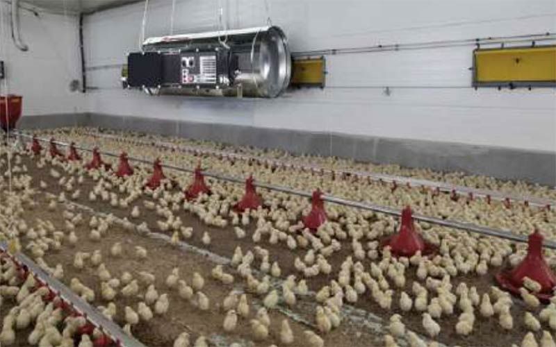 campi di applicazione Biemmedue GA/N - Riscaldatore Pensile