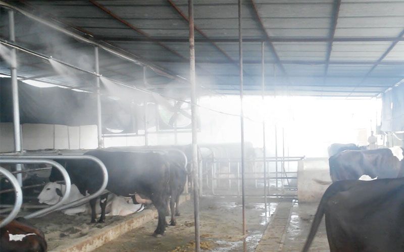 Foggy Biemmedue gruppo raffrescamento e nebulizzazione