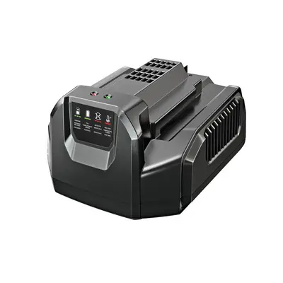 caricabatterie standard EGO HT2601E - Kit Tagliasiepi 66 cm - Batteria 2,5 Ah + Caricatore Standard