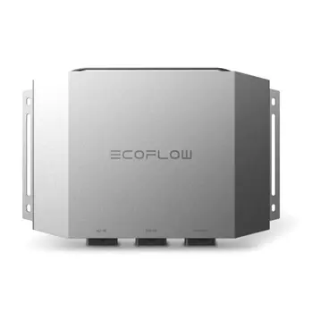 Ecoflow Caricabatterie per Alternatore 1000 W
