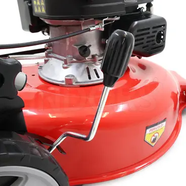 Farmer FA191TL - Tagliaerba a Trazione con Cesto Raccolta