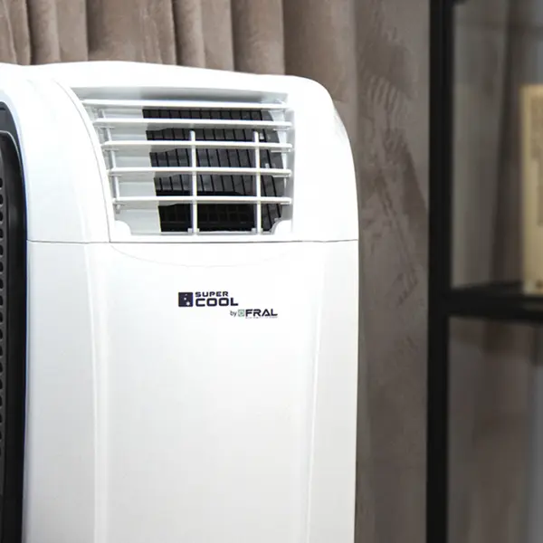 Fral FSC14 - Condizionatore Aria Portatile con Pompa Calore