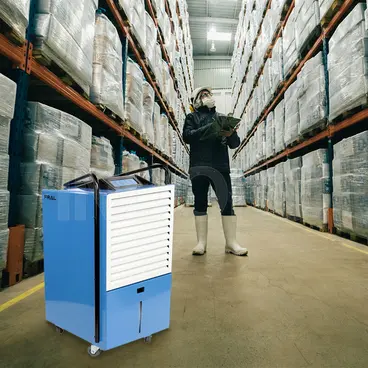 Fral FDND33 - Deumidificatore Portatile Industria