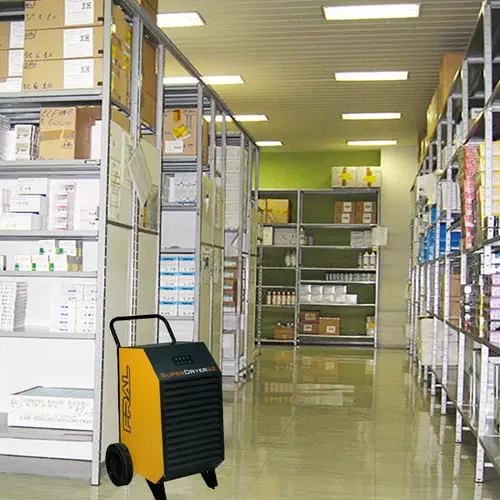 Fral SuperDryer62
