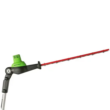 Greenworks GD40PSHK2X tagliasiepi doppia catena