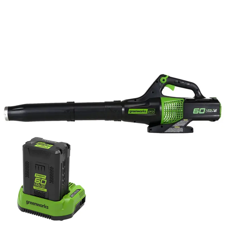 Greenworks GD60ABK4 Soffiatore a Batteria