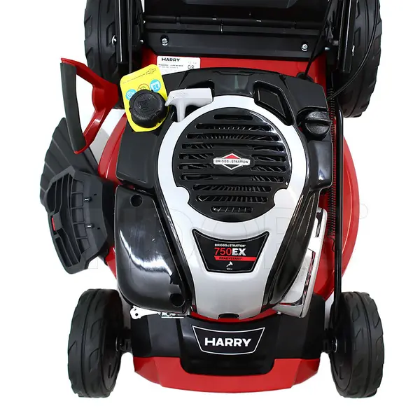 Harry HR 5500 SBQ - Rasaerba con Motore Briggs & Stratton