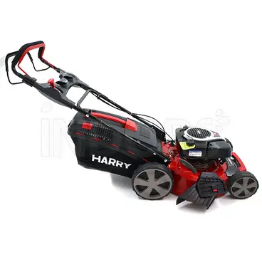 Harry HR 5500 SBQ - Rasaerba Semiprofessionale Avviamento Autoavvolgente