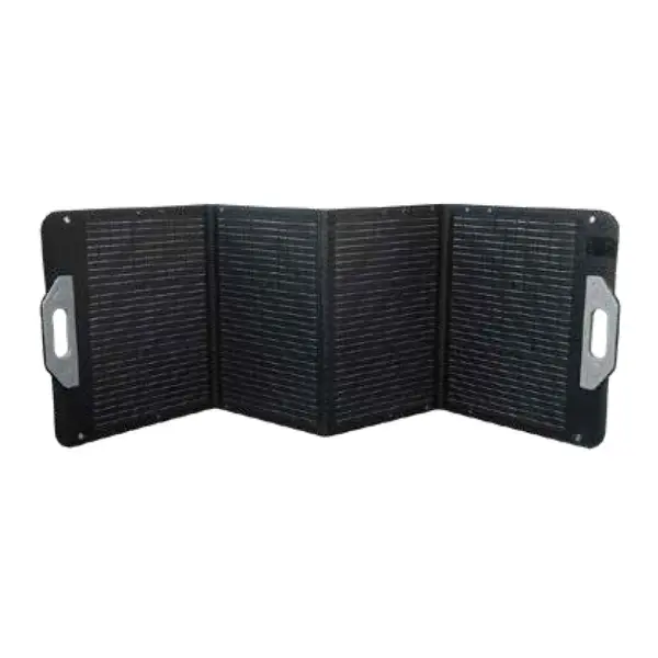 Hyundai 27750 - Pannello Fotovoltaico 100 W per Power Station 65950