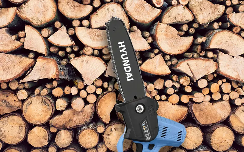 Hyundai 25320 sega a batteria potatura rami