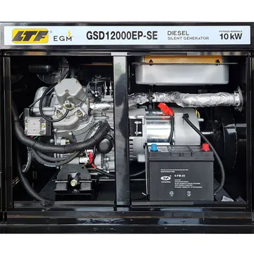 interno LTF GSD12000EP-SE - Generatore Diesel Silenziato