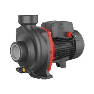 Elettropompa Centrifuga Monogirante LEO ACm / AC 2''