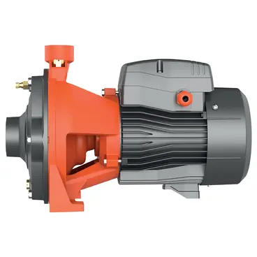 Elettropompa Centrifuga Bigirante LEO 2ACm / 2AC