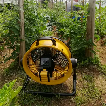 Ventilatore a Batteria Master DFB 16