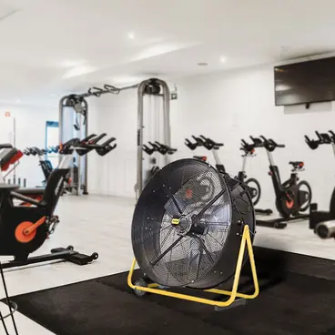 Master DF 20 P - Ventilatore Professionale Portatile Palestre