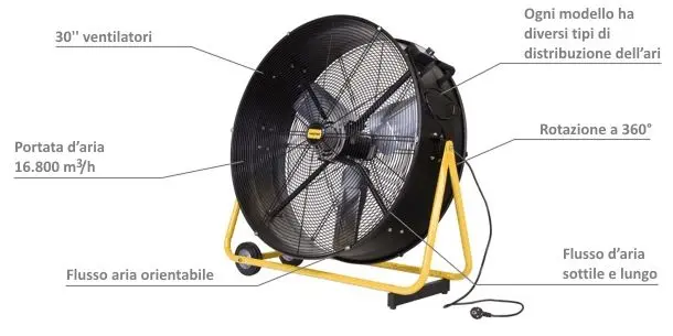 Master DF 30 P Ventilatore Professionale