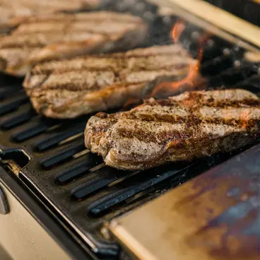 Masterbuilt Portable - Barbecue Portatile a Carbone versione mobile o con carrello