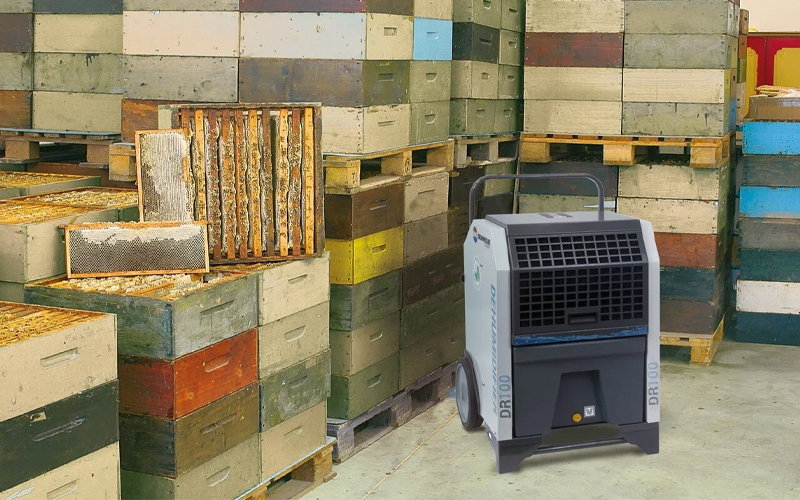 Biemmedue Dr 100 cellar dehumidification