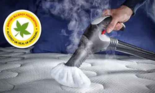 Polti Vaporetto Lecoaspira Fav 80 - Pulizia Materasso