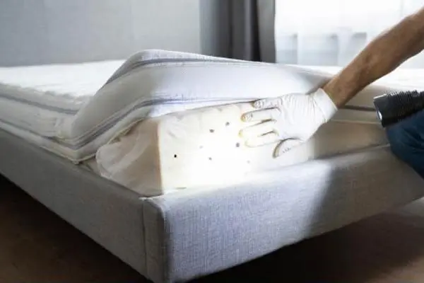 Polti Vaporetto Eco Pro Sani System Cimex Eradicator elimiazione cimici da letto