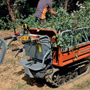 Airmec AB 270 - Motocarriola Cingolata Elettrica con Portata Carico fino 450 kg