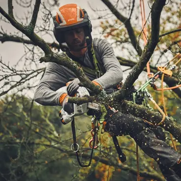 Stihl GTA 40 Potatore a Catena a batteria