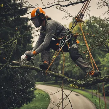 Stihl GTA 40 Potatore a seghetto a batteria