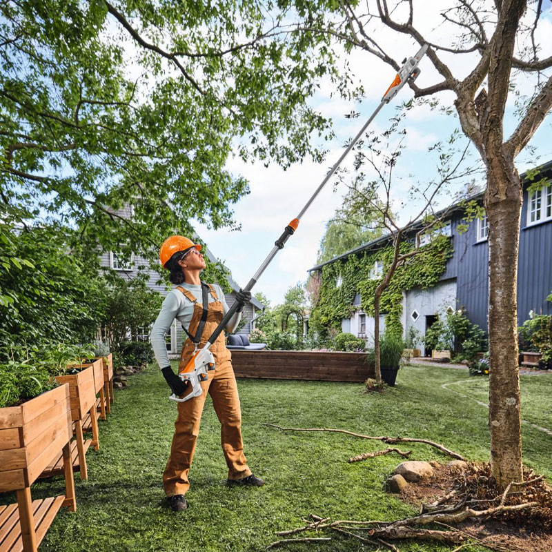 Stihl HTA 30 - Potatore Telescopico a Catena 1/4" PM3 con 2 Batterie e Caricabatterie inclusi