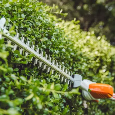 Stihl HLA 56 SET - Tagliasiepi a Batteria Regolabile con Batteria AK 20 + Caricabatteria AL 101 inclusi