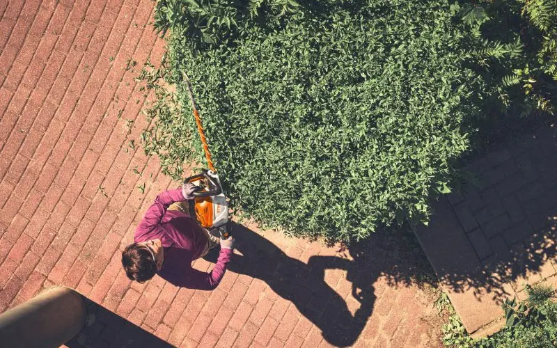 Stihl HSA 140 R KIT - Tagliasiepi 75 cm per Lavori Impegnativi completo di Batteria e Caricabatterie