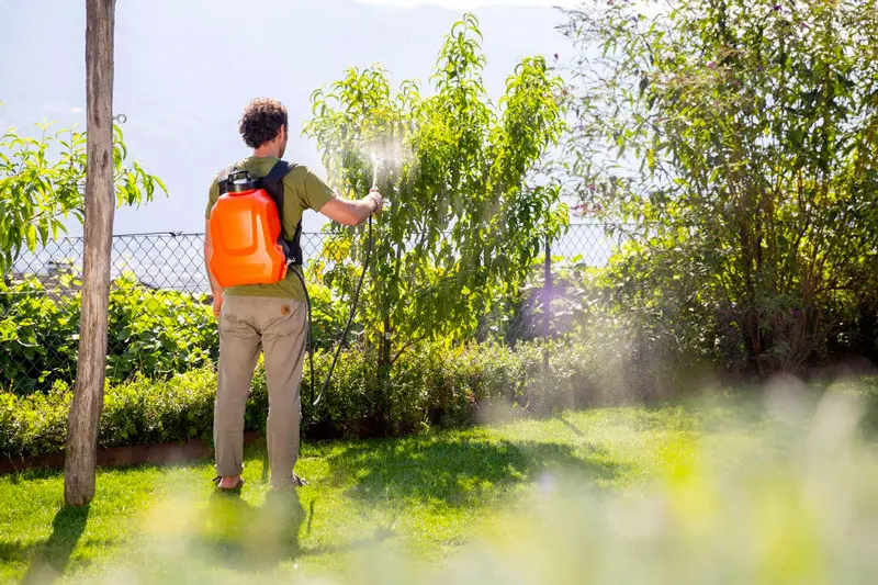 campo di applicazione Stocker Ergo 12 L - Pompa Elettrica a Zaino 21V