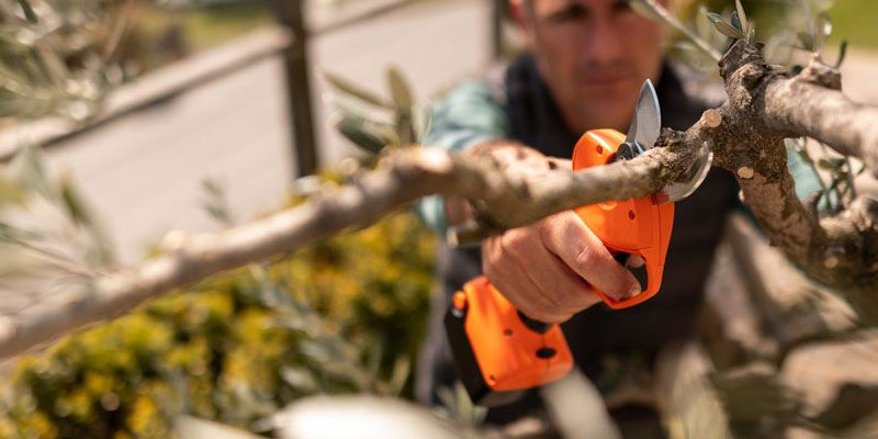 Stocker Magma E-40 TP 21 V Battery-Powered Pruning Shears code 636