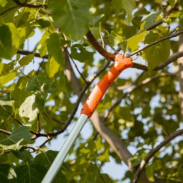 Stocker Kantia E-22 TR forbice telescopica per potatura