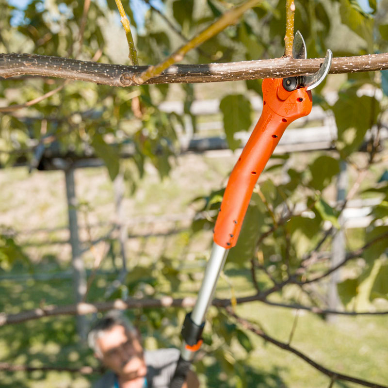 Stocker Magma Kantia E-22