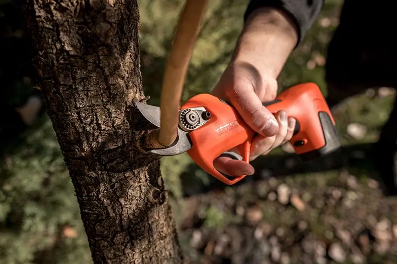 Stocker Vulcano E-30 TP - Forbice Brushless Batteria 150 W Progressiva e Automatica
