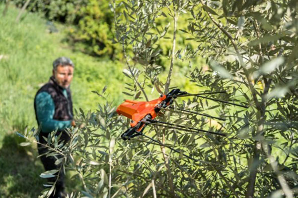 Stocker 629 - Olive Harvester Promo Kit