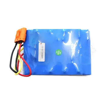 Sunseeker 16600772-01 - Batteria di Ricambio 10.0 Ah