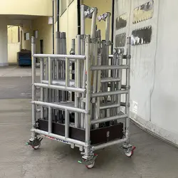 Svelt Regina 4WD Large Vip - Scala Professionale con Ruote guardacorpo e corrimano